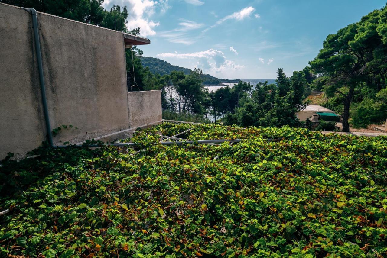 Apartments Pitarevic Saplunara Exterior photo